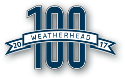 WH100_2017_logo